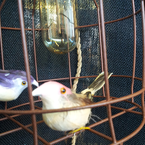 Laat je niet in een hokje stoppen: de woonbeurs in vogelvlucht.